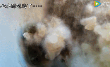 環(huán)?？破湛照{(diào)