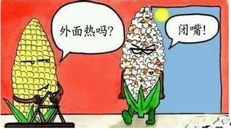 38℃高溫，這些身影讓你看到哭
