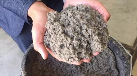 僅有1%的垃圾被填埋，荷蘭是如何實現(xiàn)垃圾的循環(huán)經(jīng)濟