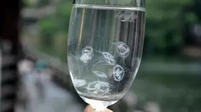 環(huán)保知識(shí)，教你如何辨別水質(zhì)