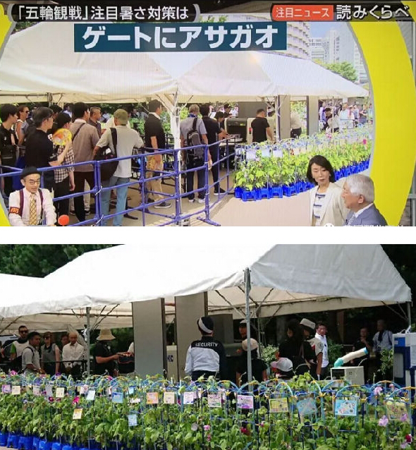 為了環(huán)保，東京奧運會要讓運動員睡硬紙板糊的床