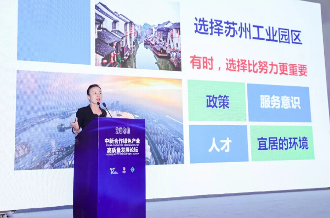 回首2019，致在環(huán)保路上奮斗的我們