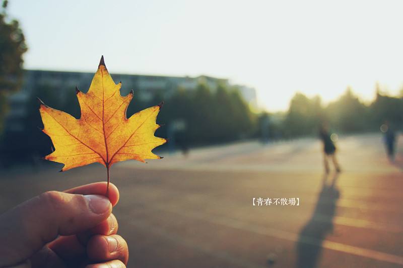 致敬青春！新入職小伙伴他們有話說
