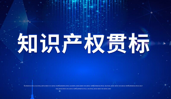 依斯倍環(huán)保順利通過2020知識產權管理體系認證
